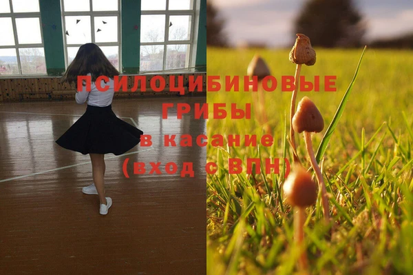 круглые Белокуриха