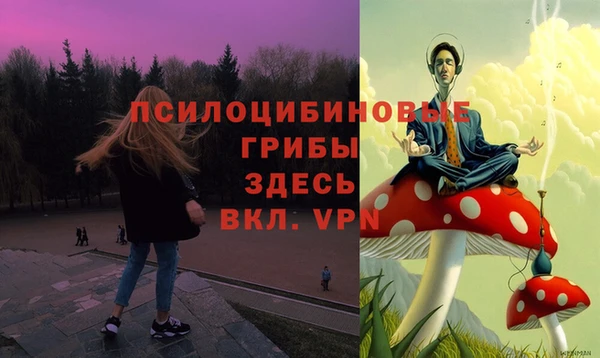 круглые Белокуриха