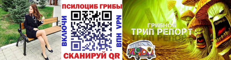 Псилоцибиновые грибы GOLDEN TEACHER  MEGA как зайти  Купино 