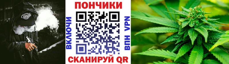 Конопля план Купино